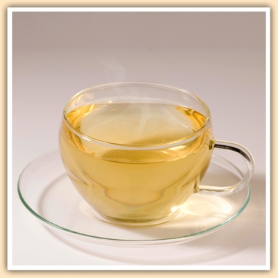 Grüner Sencha Tee Orange Tasse
